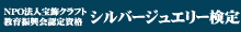 �V���o�[�W���G���[����