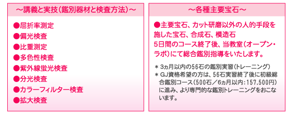 gaiyo03