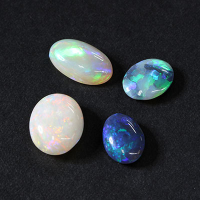 2019opal