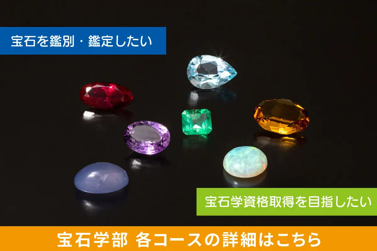 デザイン制作学部